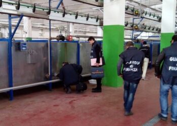 Truffa milionaria nel cosentino, scoperti oltre 300 falsi braccianti agricoli