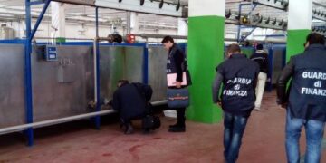 Truffa milionaria nel cosentino, scoperti oltre 300 falsi braccianti agricoli