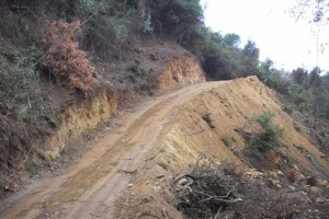 Lavori bosco Roccabernarda