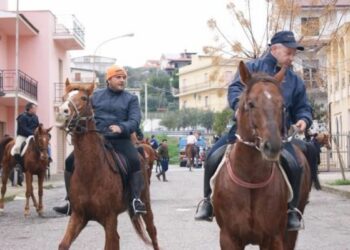 Palio Sant’Antonio, cavalieri e cavalli pronti ad Amendolara