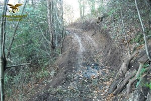 Tratto di pista carrabile non autorizzato scoperto da Corpo Forestale