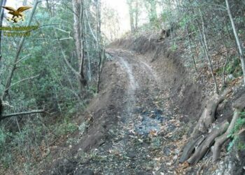 Piste abusive nel Parco della Sila, una denuncia