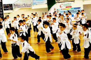 Warpedo Stage novembre 2015 (7)