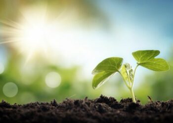 Truffa per realizzare azienda a colture biologiche, una denuncia nel catanzarese