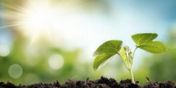 Truffa per realizzare azienda a colture biologiche, una denuncia nel catanzarese