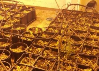 Scoperto laboratorio di droga nel centro storico di Cassano