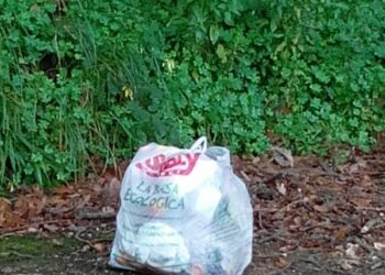 Cirò, le strade in periferia come discariche all’aperto