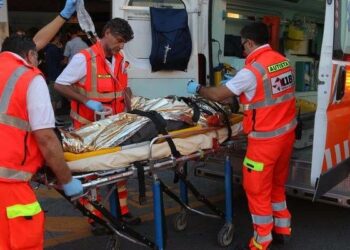 Auto contro mucca, muore calabrese in Sardegna