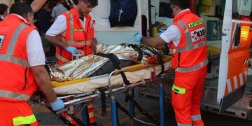 Auto contro mucca, muore calabrese in Sardegna