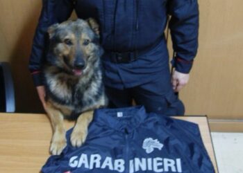 Cutro, arma nascosta in garage scoperta grazie al fiuto di Willy