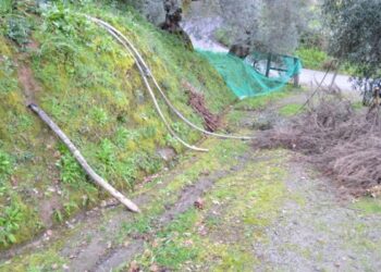 Furto di rame a Rossano, niente internet e telefono: arrestati 6 rumeni