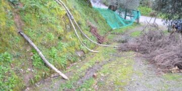 Furto di rame a Rossano, niente internet e telefono: arrestati 6 rumeni