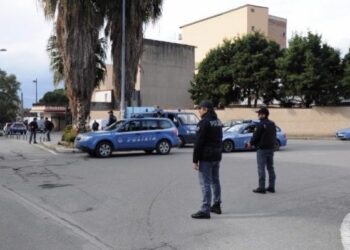 Controlli in 9 aziende agricole nella piana di Gioia, sanzioni per 100mila euro