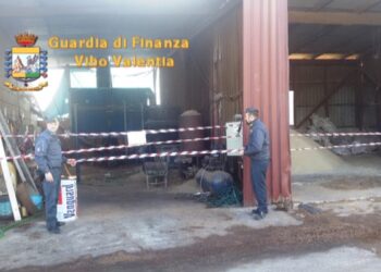 Sequestrata fabbrica abusiva di pellet nel vibonese