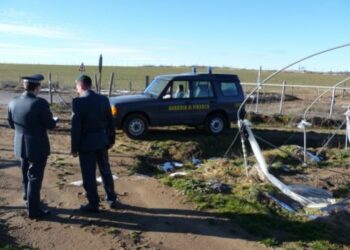 Contributi agricoli senza avere terreni, truffa nel cosentino