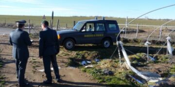 Contributi agricoli senza avere terreni, truffa nel cosentino