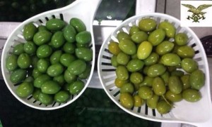 Truffa olive verniciate