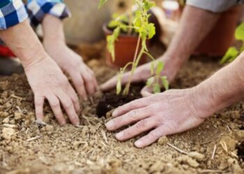 Agricoltura sociale a Crotone, la terra come strumento di riscatto