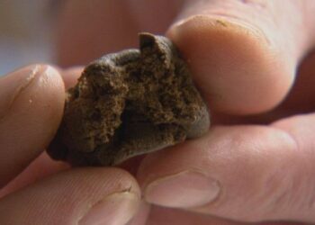 In auto con due kg di hashish, 4 arresti a Corigliano