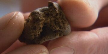 In auto con due kg di hashish, 4 arresti a Corigliano