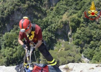 Catanzaro, trovato morto il cavallo caduto nel burrone