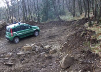 Pista non autorizzata scoperta in un bosco a Cotronei