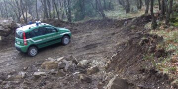 Pista non autorizzata scoperta in un bosco a Cotronei