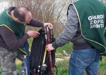 Pesca senza licenza sul fiume Tacina, sanzioni e sequestri