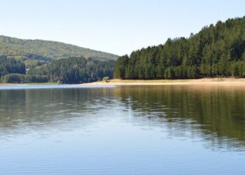 La Sila verso il Patrimonio Unesco, passi in avanti per riconoscimento