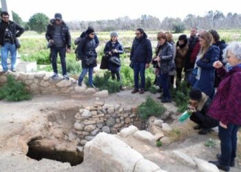 Il ‘Treno della Magna Grecia’, opportunita’ per la ferrovia jonica