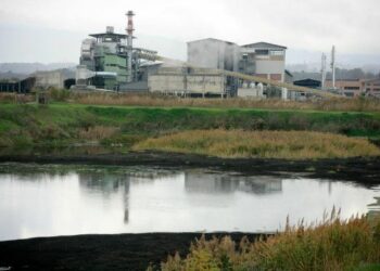 Interrogazione del M5S all’UE sui prodotti dall’Elettrodotto di Mantalto Uffugo