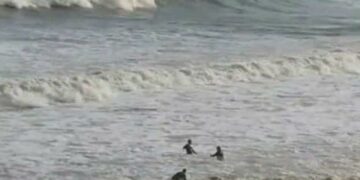 La Polizia salva un uomo che tenta il suicidio gettandosi nel mare in burrasca