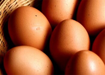 Tracciabilita’ uova, Oliverio: bene approvazione odg alla Camera