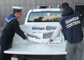 Sequestrato un quintale di ‘bianchetto’ a Crucoli Torretta