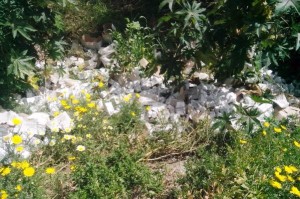 Brik latte abbandonati