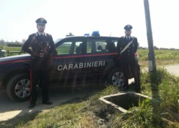 Cade in un pozzo per aiutare il suo cane, salvato 70enne a Strongoli