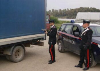 Furgone rubato non si ferma all’alt, arrestato 26enne di Corigliano