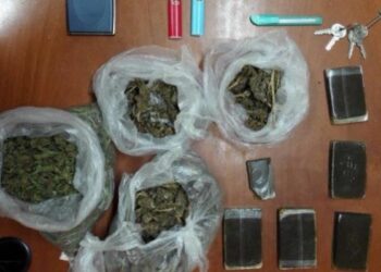 Nascondeva un chilo di droga, arrestato 30enne nel cosentino