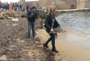 Liberazione tartaruga a Isola Capo Rizzuto (1)