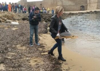 L’assessore regionale Rizzo libera Caretta caretta a Le Castella