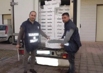Maxi sequestro di novellame di sarda a Rossano, donato in beneficenza