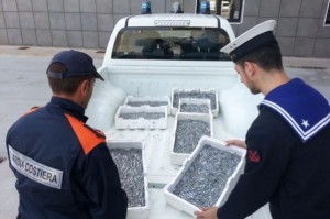 Sequestro bianchetto