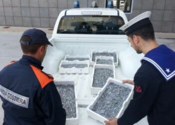 Capitaneria di Crotone sequestra 50 chili di ‘bianchetto’, rigettato in mare