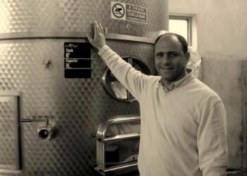 Vini, Zito: la Doc Calabria non va fatta