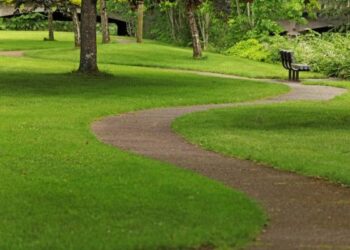 Rossano, i Lions ‘adottano’ due spazi verdi allo Scalo