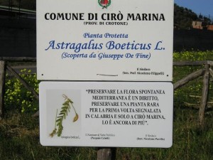 Tabella dei sindaci Filippelli e Parrilla