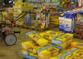 Sequestrati nel catanzarese mangimi scaduti: destinati a cani, cavalli ed uccelli