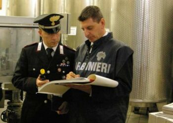 Sequestrati prodotti avariati in un caseificio nel cosentino, 3 denunce