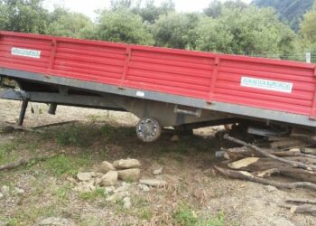 Furto aggravato in una azienda del cirotano