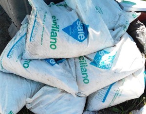 Sale da cucina buttato sulla spiaggia